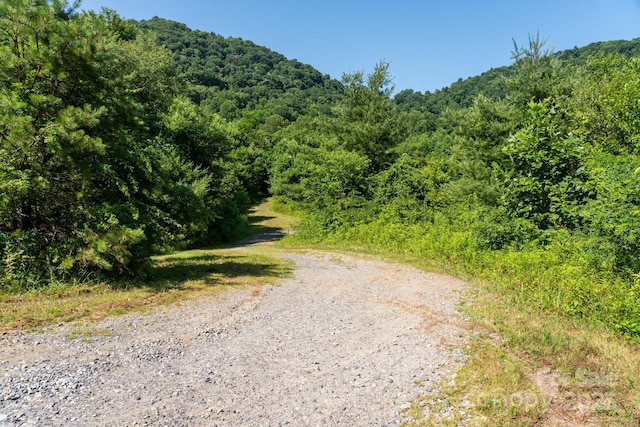 00 Shetley Rd, Waynesville, NC 28785 - photo 24