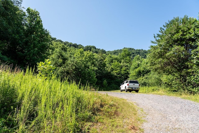 00 Shetley Rd, Waynesville, NC 28785 - photo 25