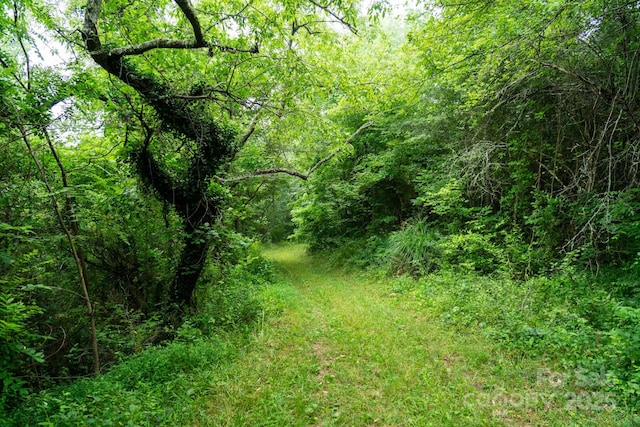 00 Shetley Rd, Waynesville, NC 28785 - photo 26