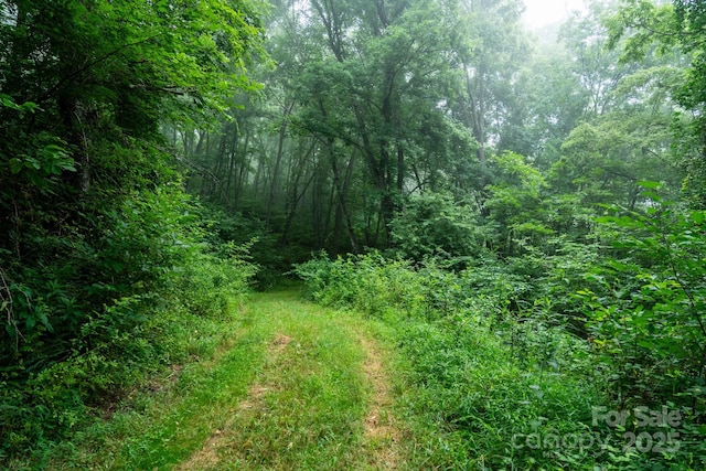 00 Shetley Rd, Waynesville, NC 28785 - photo 27