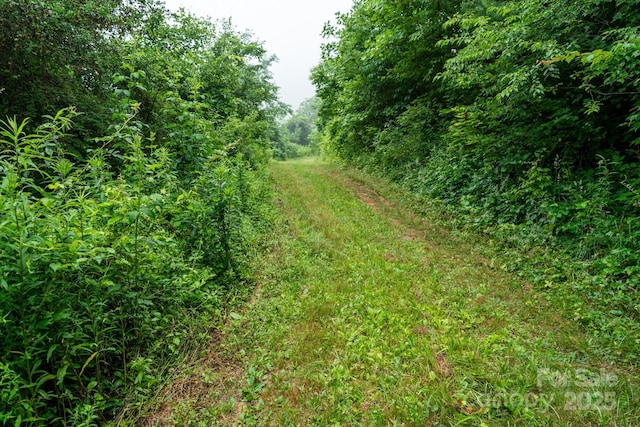 00 Shetley Rd, Waynesville, NC 28785 - photo 28