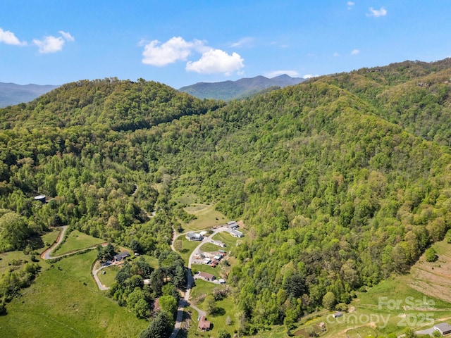 00 Shetley Rd, Waynesville, NC 28785 - photo 33