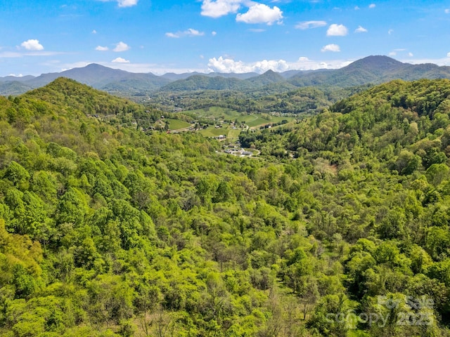 00 Shetley Rd, Waynesville, NC 28785 - photo 34