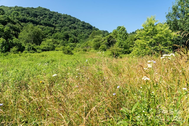 00 Shetley Rd, Waynesville, NC 28785 - photo 9