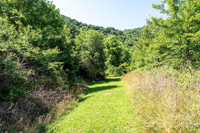 00 Shetley Rd, Waynesville, NC 28785 - photo 10