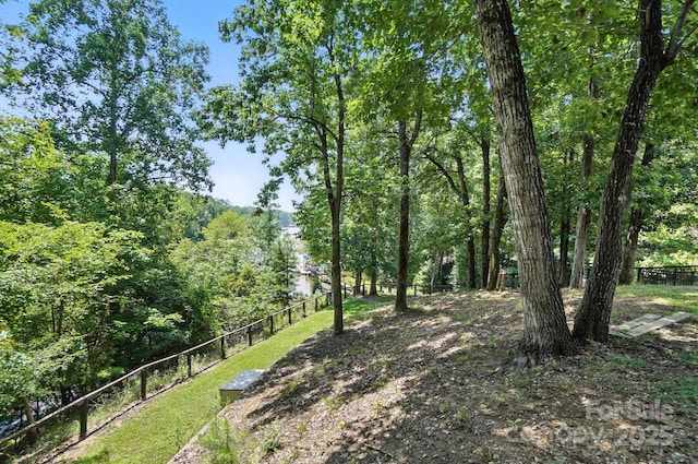 16101 Heron Run Dr, Tega Cay, SC 29708 - photo 39