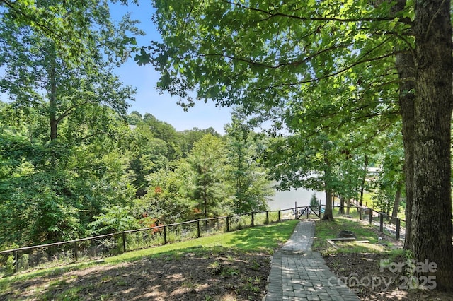 16101 Heron Run Dr, Tega Cay, SC 29708 - photo 40