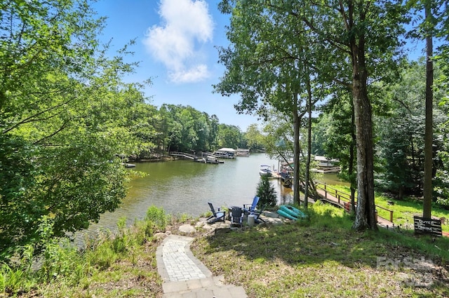 16101 Heron Run Dr, Tega Cay, SC 29708 - photo 42