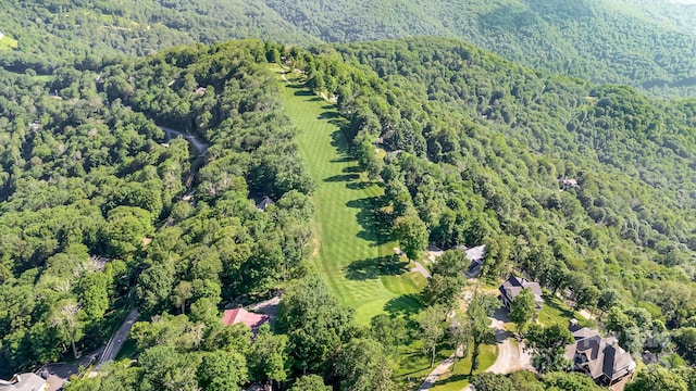 50 Mountain Top Lane 904 & 905, Mars Hill, NC 28754 - photo 43