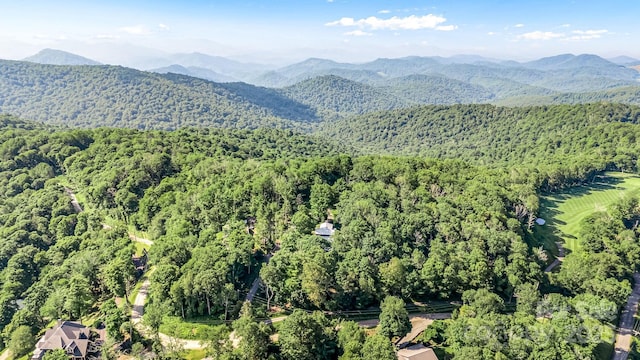 50 Mountain Top Lane 904 & 905, Mars Hill, NC 28754 - photo 44