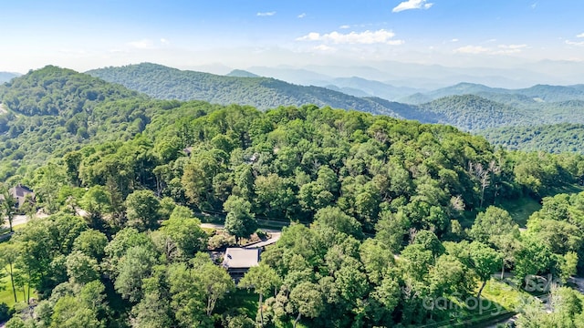50 Mountain Top Lane 904 & 905, Mars Hill, NC 28754 - photo 45
