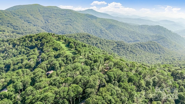 50 Mountain Top Lane 904 & 905, Mars Hill, NC 28754 - photo 48
