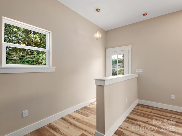 42 Cedar St, Asheville, NC 28803 - photo 4