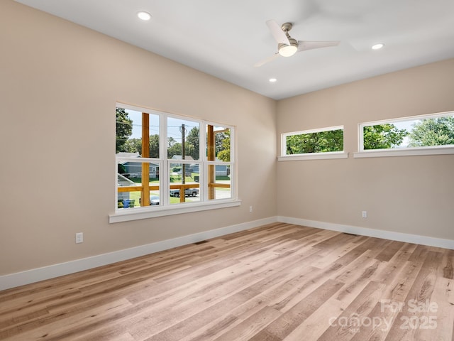 42 Cedar St, Asheville, NC 28803 - photo 5