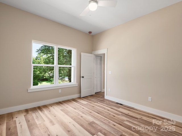 42 Cedar St, Asheville, NC 28803 - photo 12