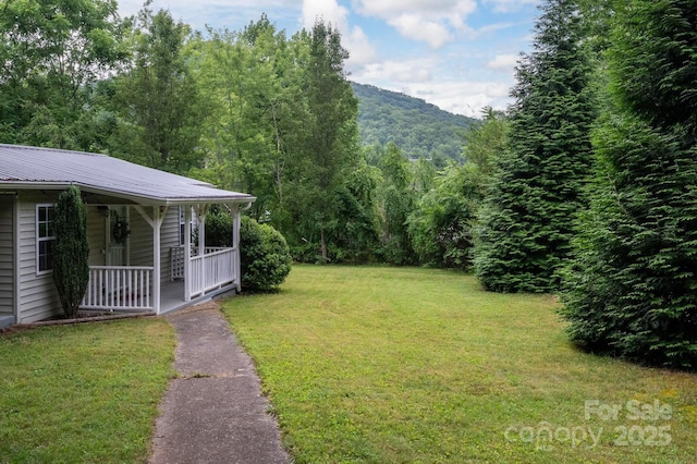 147 Mink Farm Rd, Leicester, NC 28748 - photo 2