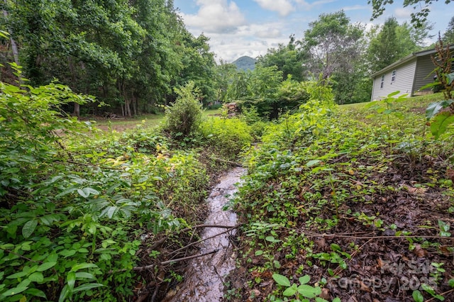 147 Mink Farm Rd, Leicester, NC 28748 - photo 3