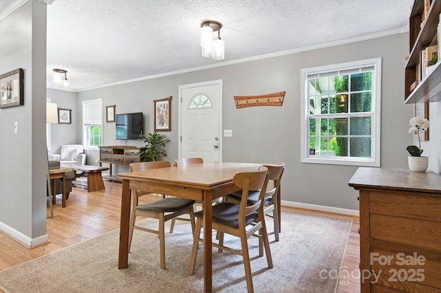 147 Mink Farm Rd, Leicester, NC 28748 - photo 9