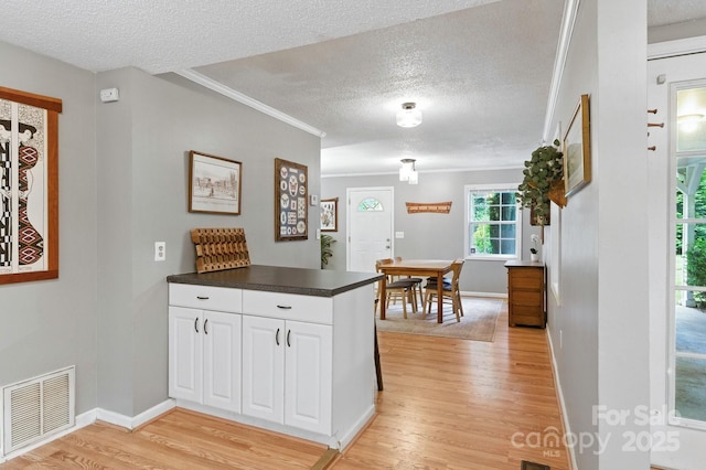 147 Mink Farm Rd, Leicester, NC 28748 - photo 11