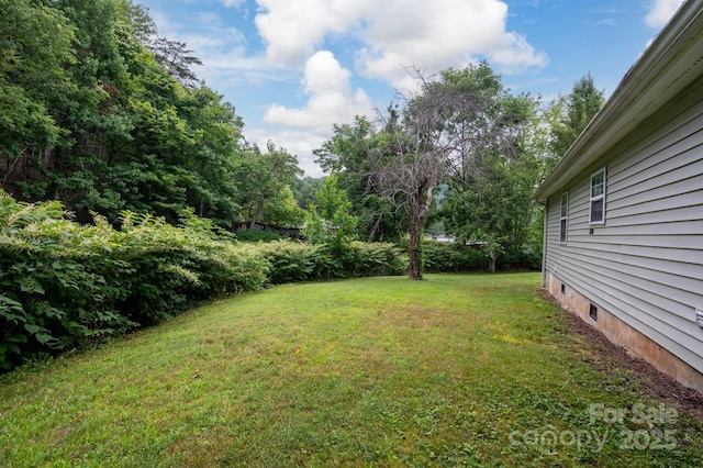 147 Mink Farm Rd, Leicester, NC 28748 - photo 22