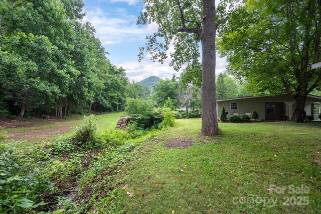147 Mink Farm Rd, Leicester, NC 28748 - photo 24