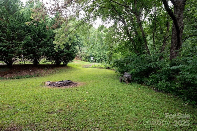 147 Mink Farm Rd, Leicester, NC 28748 - photo 25
