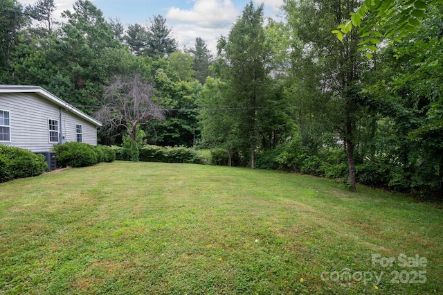 147 Mink Farm Rd, Leicester, NC 28748 - photo 26