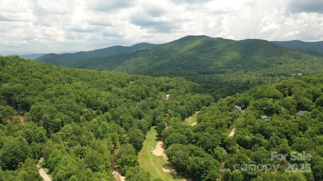 151 Sanctuary Dr, Burnsville, NC 28714 - photo 41