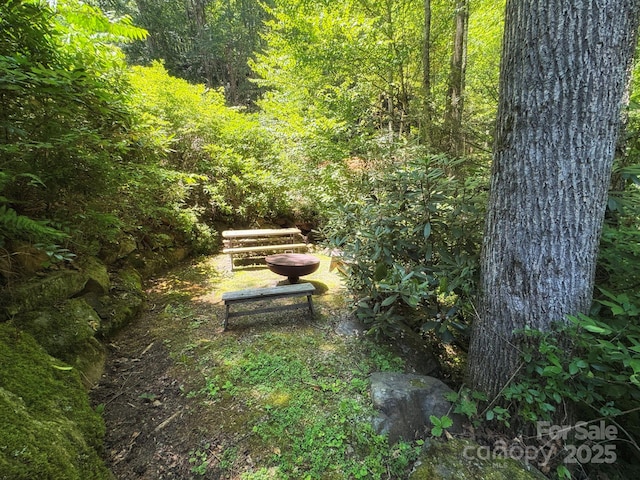 151 Sanctuary Dr, Burnsville, NC 28714 - photo 40