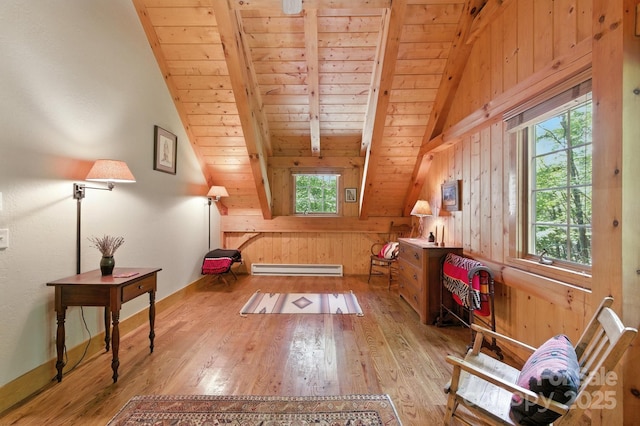151 Sanctuary Dr, Burnsville, NC 28714 - photo 33