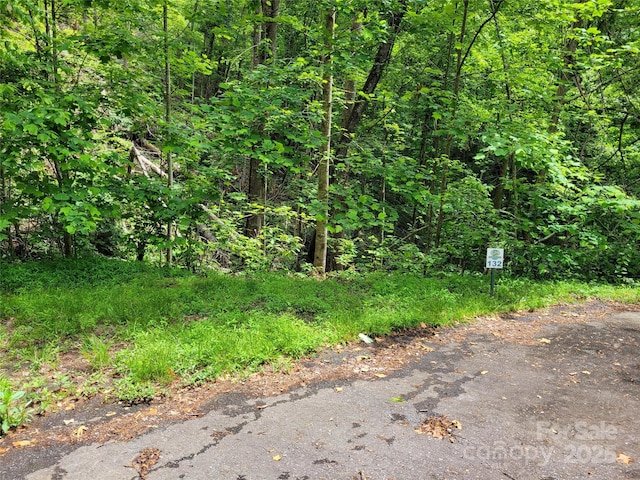 TBD Bear River Lodge Trail 123 &124, Marshall, NC 28753