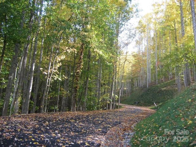 11 Katua Trl, Maggie Valley, NC 28751 - photo 1
