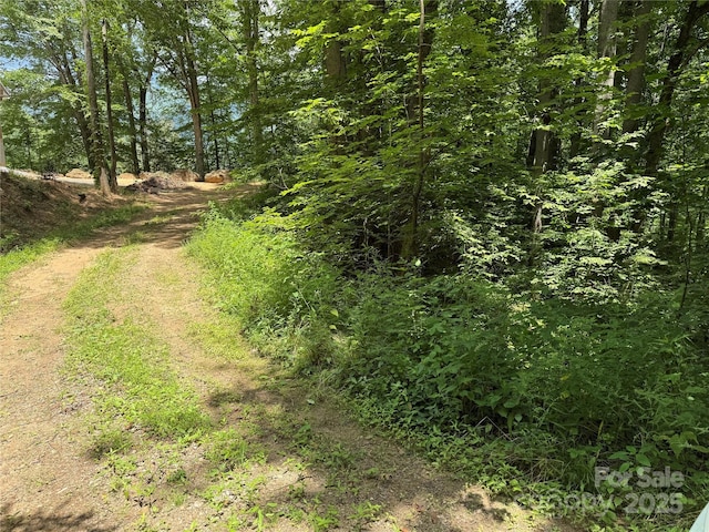 11 Katua Trl, Maggie Valley, NC 28751 - photo 3