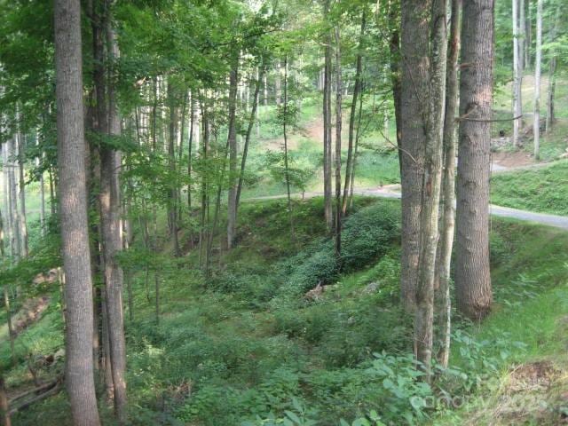 11 Katua Trl, Maggie Valley, NC 28751 - photo 4