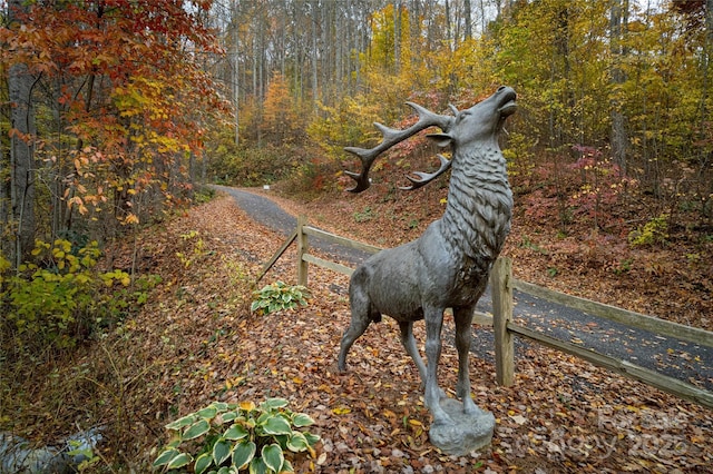 11 Katua Trl, Maggie Valley, NC 28751 - photo 8
