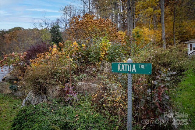 11 Katua Trl, Maggie Valley, NC 28751 - photo 9