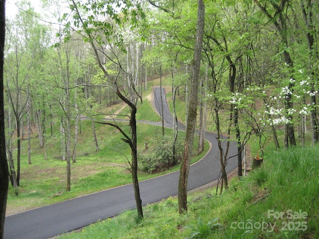 11 Katua Trl, Maggie Valley, NC 28751 - photo 11