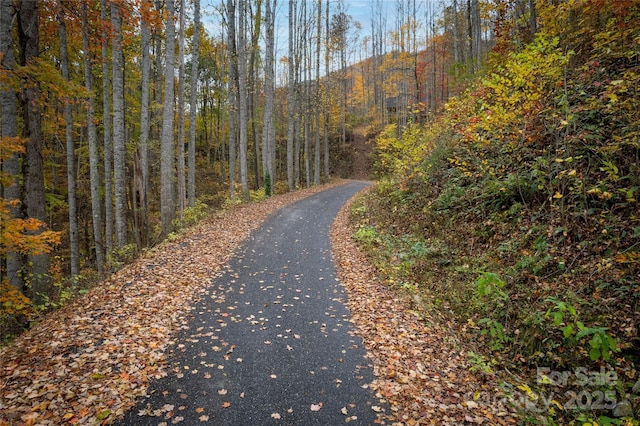 11 Katua Trl, Maggie Valley, NC 28751 - photo 12