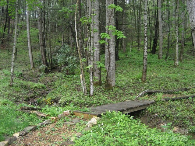 11 Katua Trl, Maggie Valley, NC 28751 - photo 13