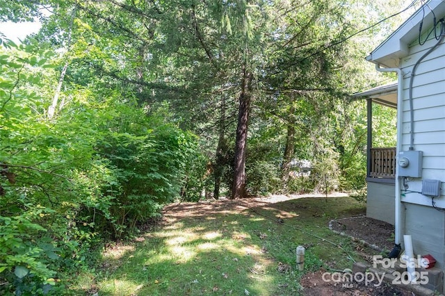 47 Campground Rd, Asheville, NC 28805 - photo 17