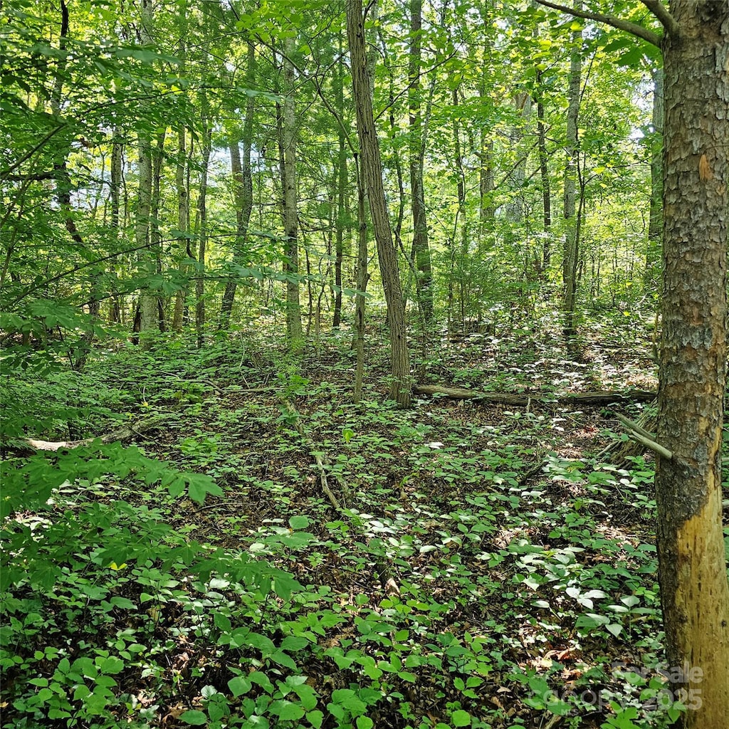 99999 Campground Rd, Asheville, NC 28805 - photo 1