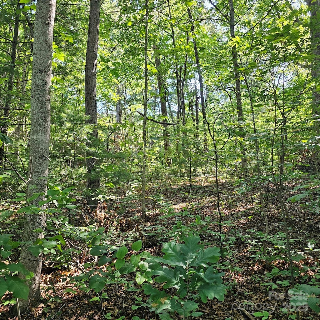 99999 Campground Rd, Asheville, NC 28805 - photo 2