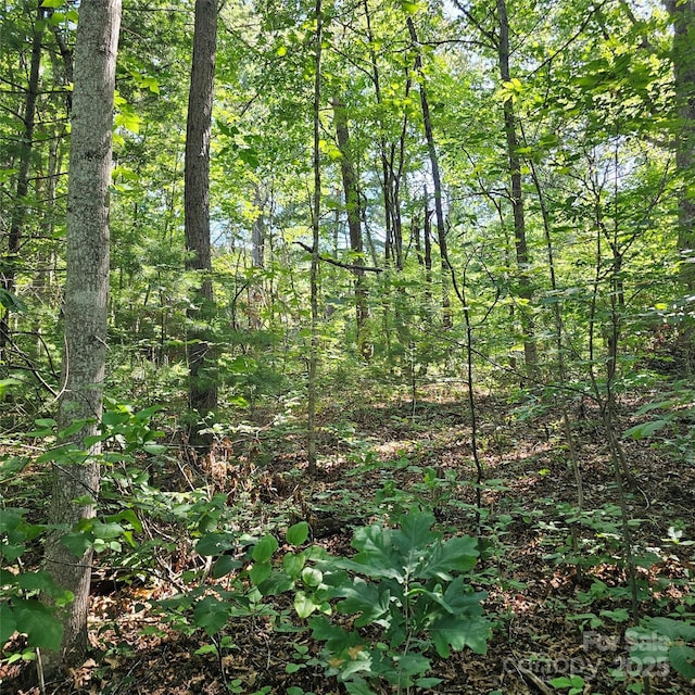 99999 Campground Rd, Asheville, NC 28805 - photo 2