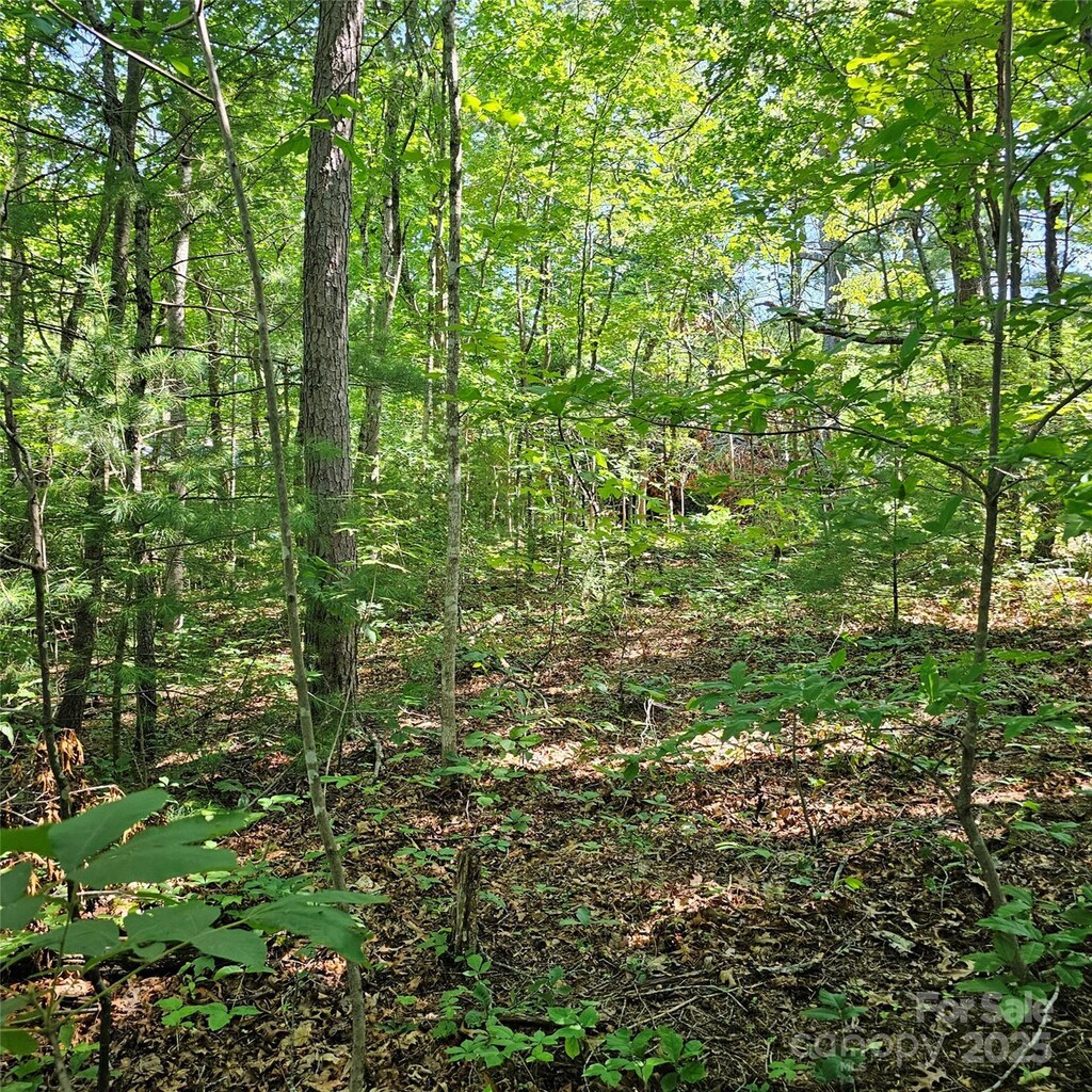 99999 Campground Rd, Asheville, NC 28805 - photo 3