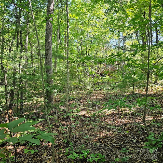 99999 Campground Rd, Asheville, NC 28805 - photo 3