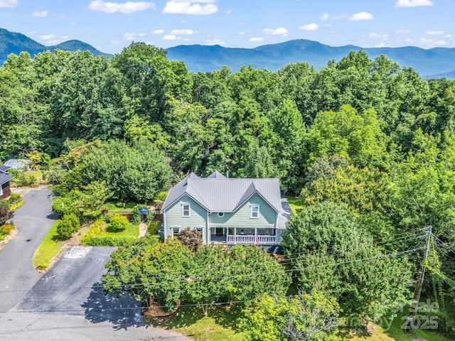 55 Lanier St, Tryon, NC 28782 - photo 47