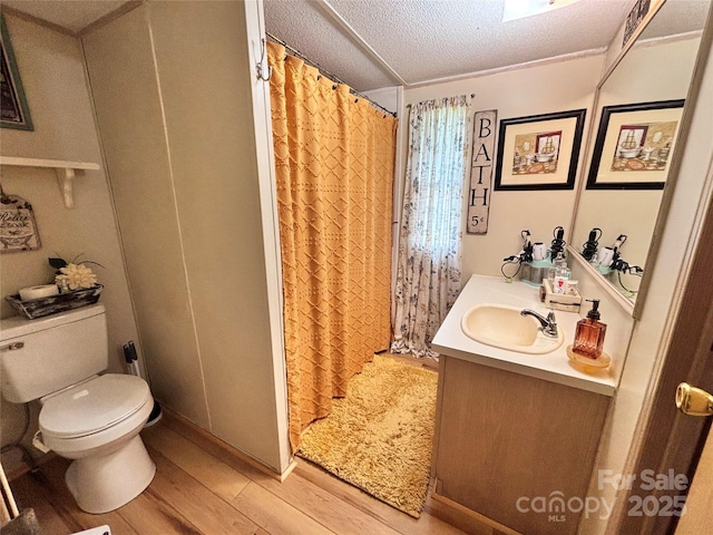1890 Bud Tilley Rd, Pinnacle, NC 27043 - bathroom featuring wood finished floors, vanity, a textured ceiling, and a shower with curtain