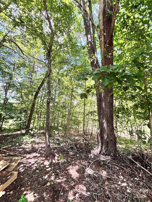 1890 Bud Tilley Rd, Pinnacle, NC 27043 - view of local wilderness