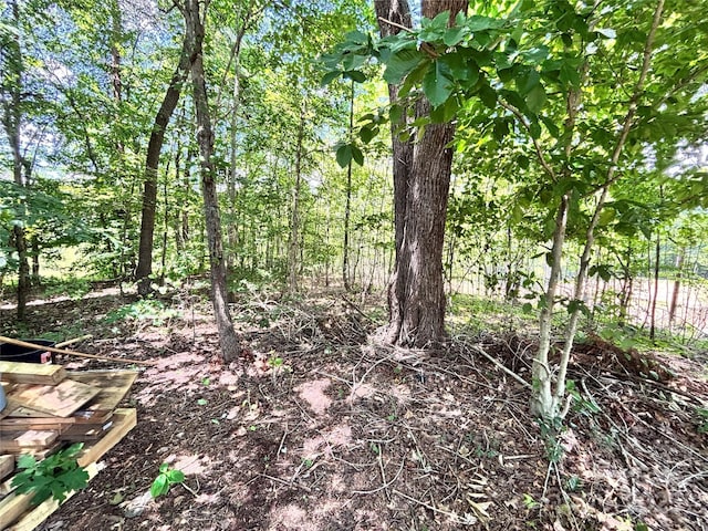 1890 Bud Tilley Rd, Pinnacle, NC 27043 - view of undeveloped land