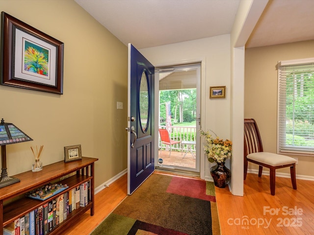 1047 Honeybee Trl, Fort Mill, SC 29715 - foyer entrance with light wood-style flooring and baseboards